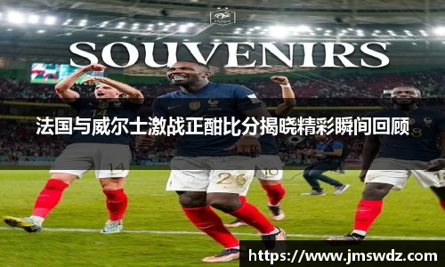 法国与威尔士激战正酣比分揭晓精彩瞬间回顾